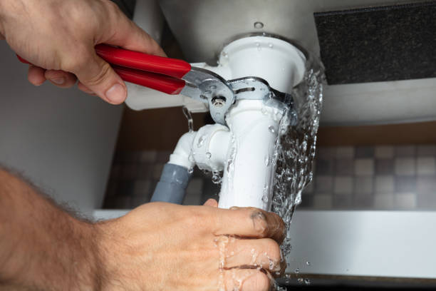 Best Mold removal after water damage  in Capitol Heights, MD