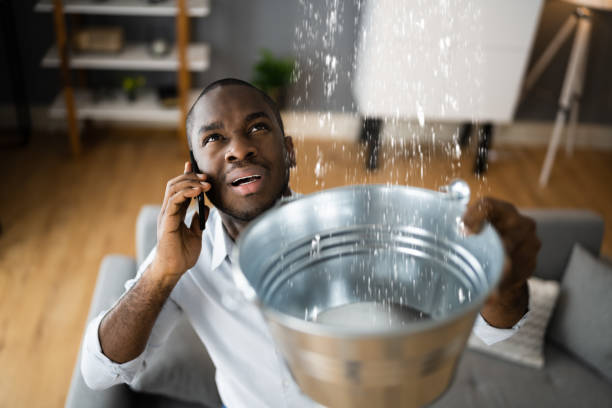 Best Local water damage restoration  in Capitol Heights, MD