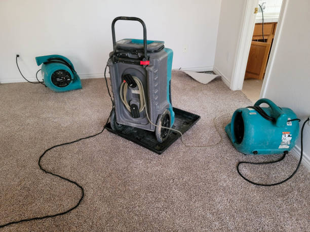 Best Water damage mitigation services  in Capitol Heights, MD