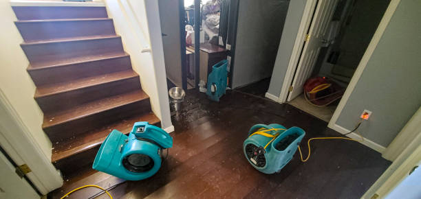 Best Residential water damage restoration  in Capitol Heights, MD