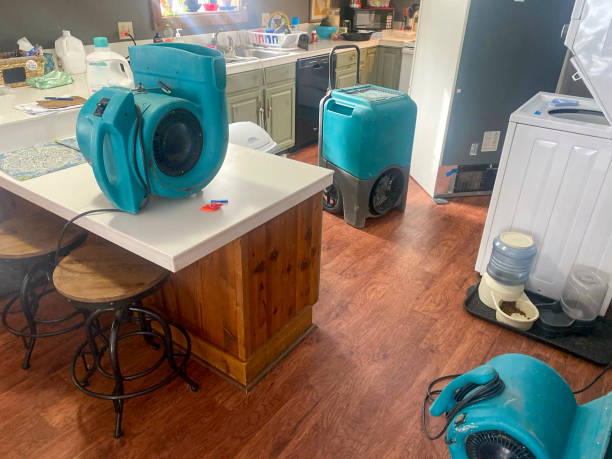 Best Sewage cleanup and water damage restoration  in Capitol Heights, MD