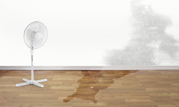 Best Residential water damage restoration  in Capitol Heights, MD
