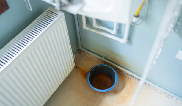 Best Water damage restoration near me  in Capitol Heights, MD