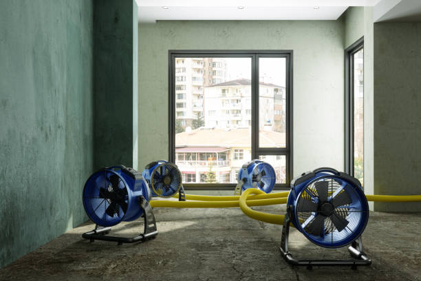 Best Emergency water damage restoration  in Capitol Heights, MD
